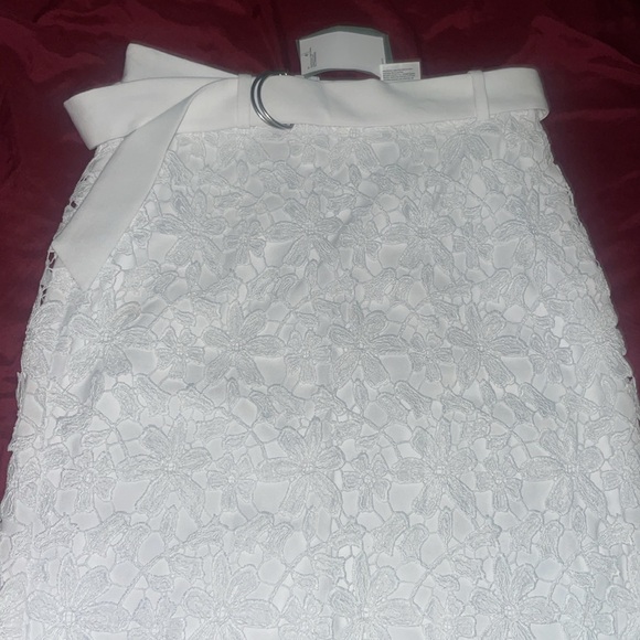 SKIRT H&M Limited Edition Midi White Eyelet Embroidery Skirt - Picture 5 of 11
